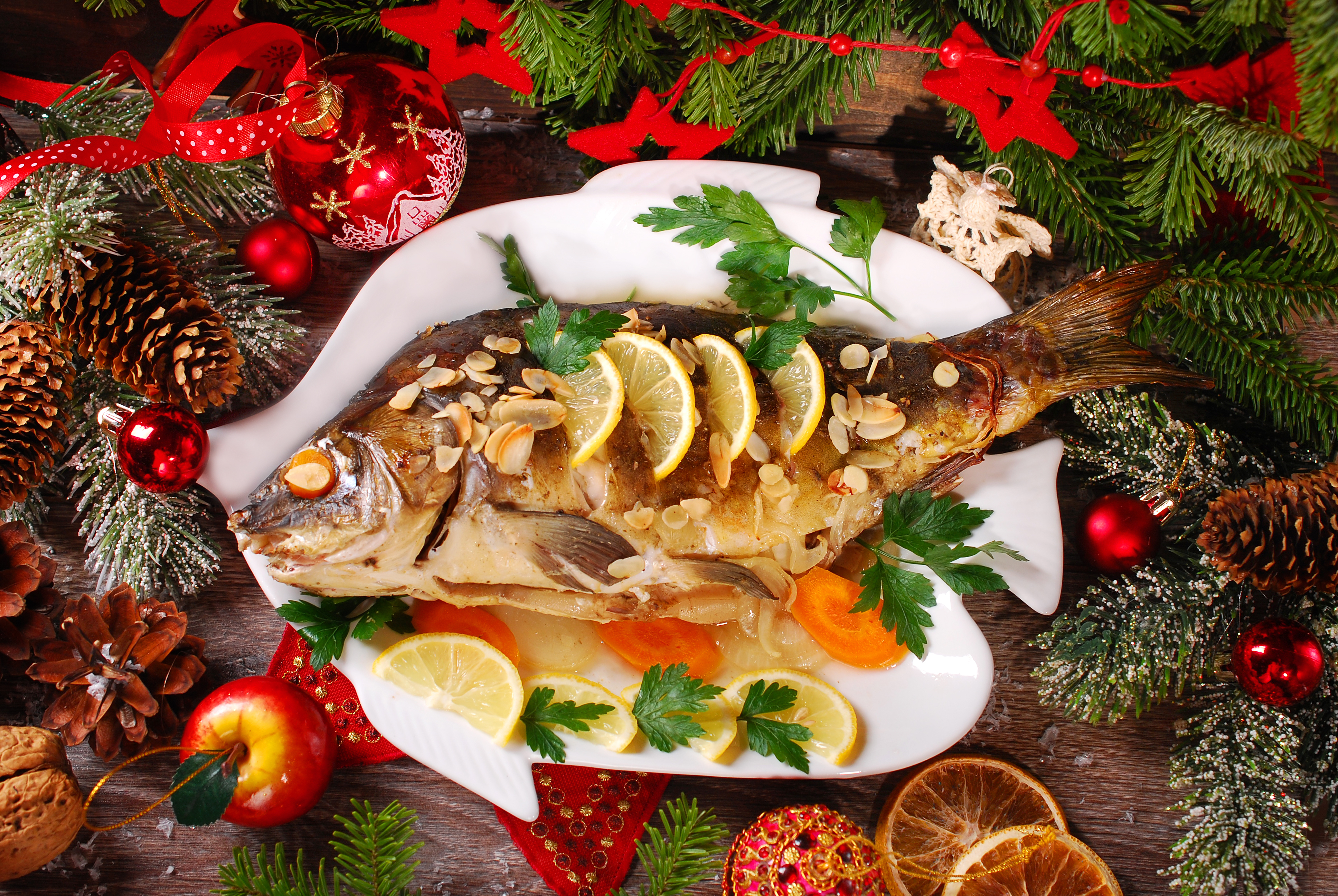 Polish Carp for Christmas