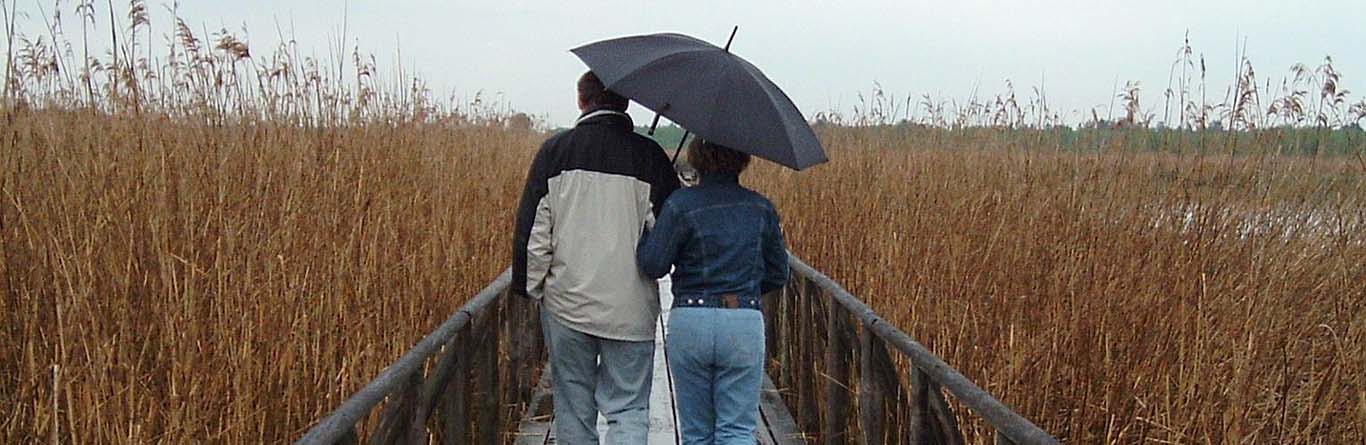 Why a walk in the rain is just the thing to invigorate your day