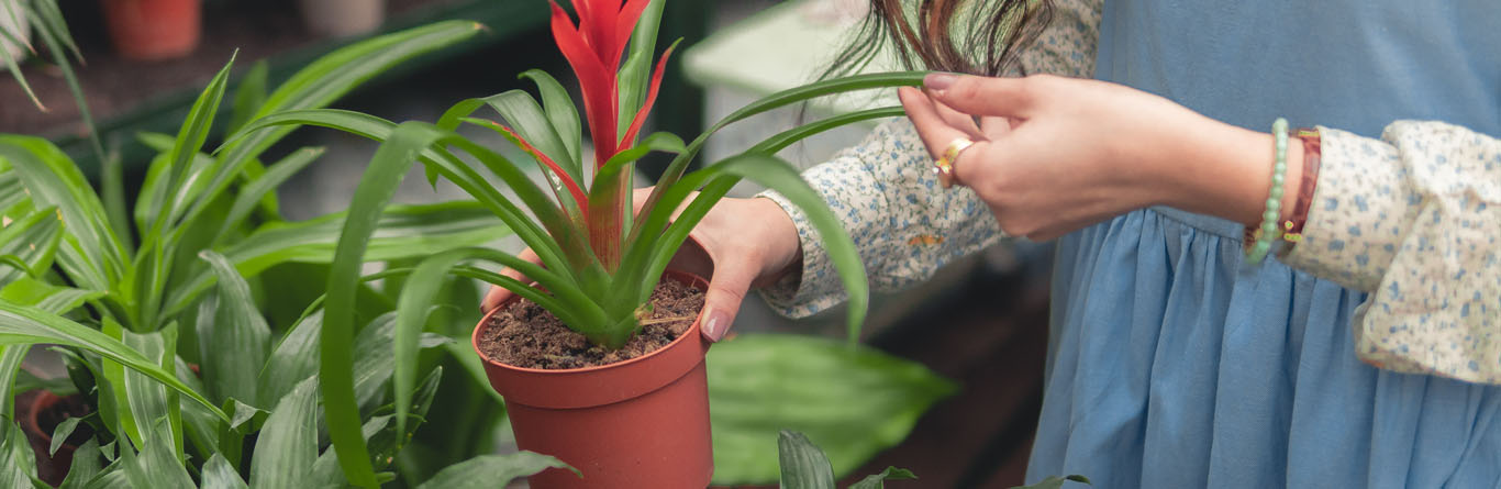 Just gardening: why gardening is good for you