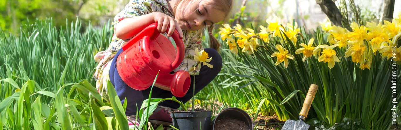 Just gardening: what to do in spring 